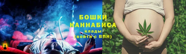 PSILOCYBIN Армянск