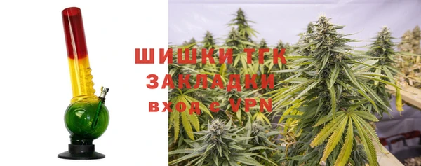 PSILOCYBIN Армянск