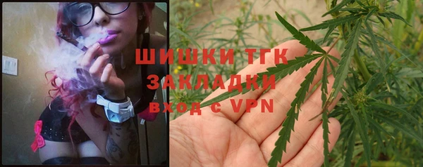 тгк Арсеньев