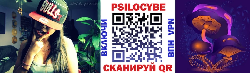 цены наркотик Шадринск omg маркетплейс Псилоцибиновые грибы прущие грибы