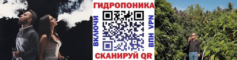 ссылка на мегу ссылки  Шадринск  Марихуана Amnesia 
